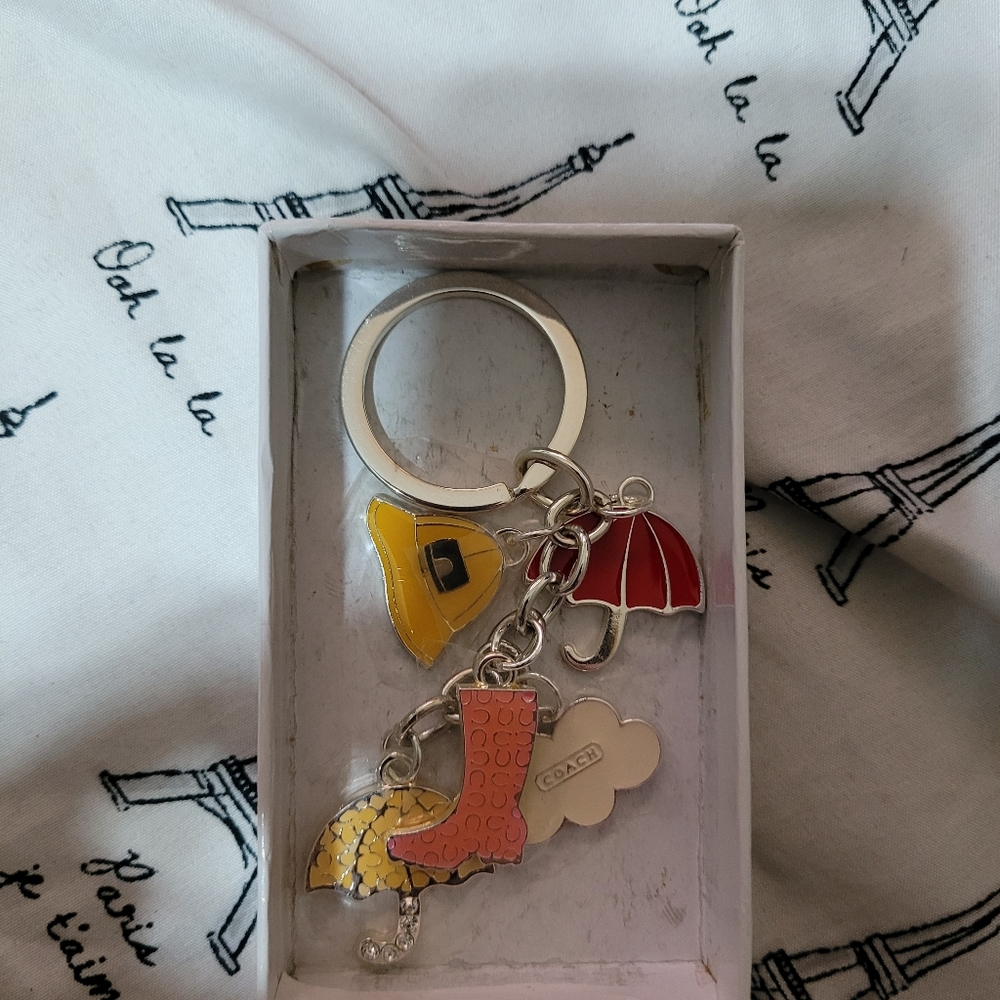 Coach Weather-Themed Keychain